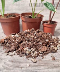 Premium Aroid Soil Mix (Feiner Mix) – Bild 2